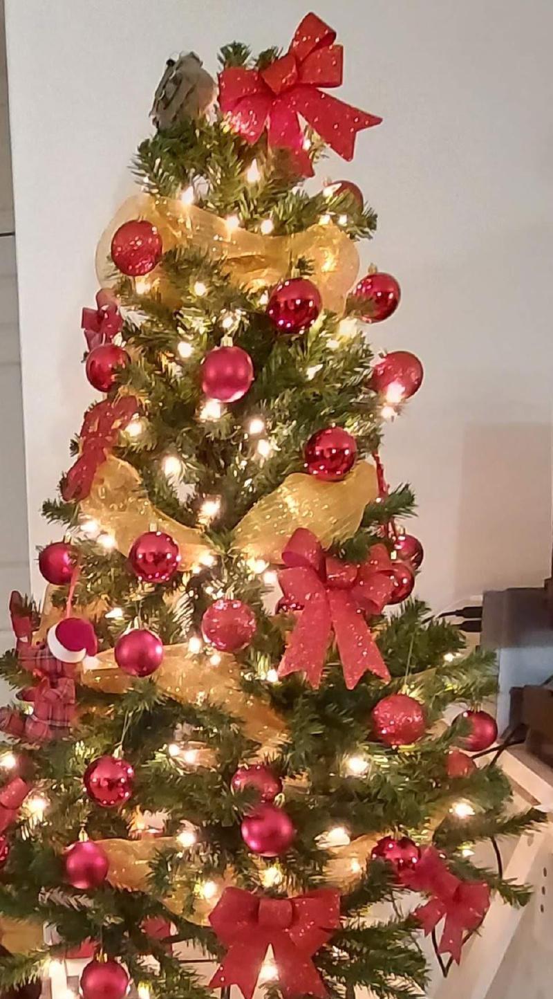 Christmas tree / Sapin de Noël